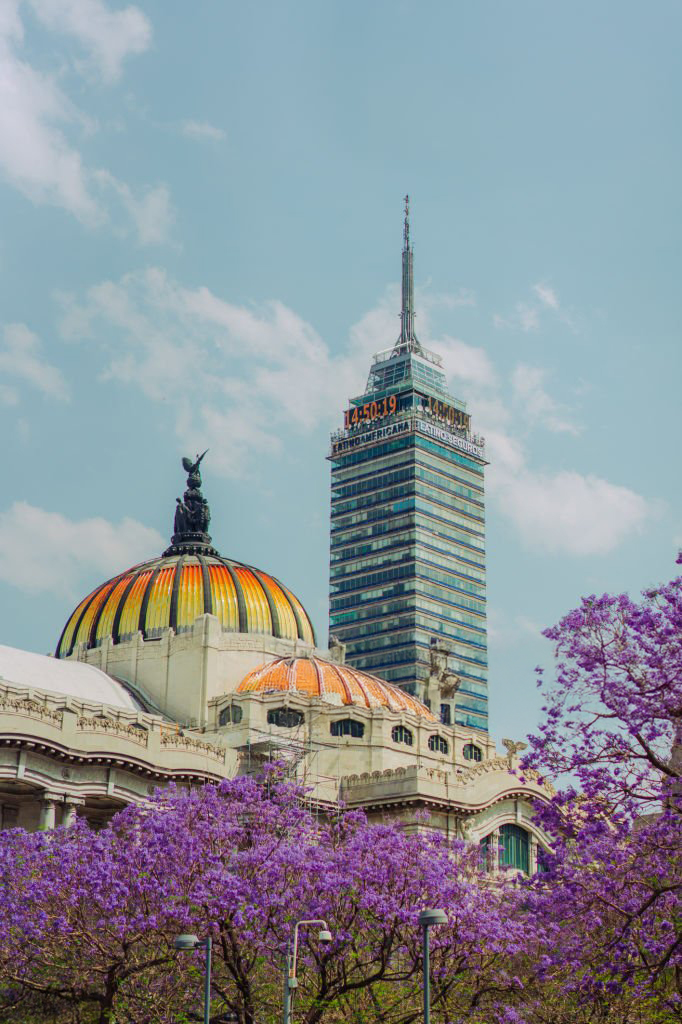 Scenic view of Mexico City in spring, Purple blossom